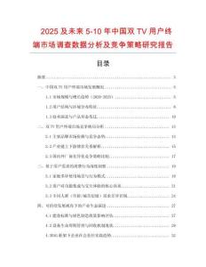 2025及未來5-10年中國雙TV用戶終端市場調(diào)查數(shù)據(jù)分析及競爭策略研究報(bào)告