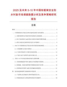2025及未來5-10年中國軟框架安全防水襯墊市場調查數據分析及競爭策略研究報告