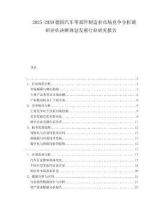 2025-2030德國汽車零部件制造業市場競爭分析調研評估決斷規劃發展行業研究報告