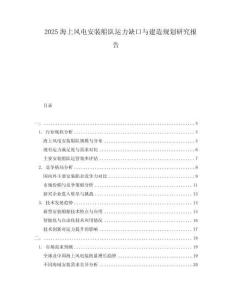 2025海上風(fēng)電安裝船隊(duì)運(yùn)力缺口與建造規(guī)劃研究報(bào)告