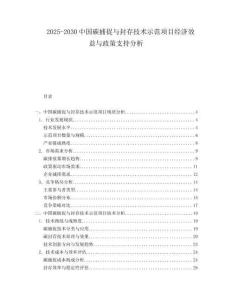 2025-2030中國碳捕捉與封存技術示范項目經濟效益與政策支持分析