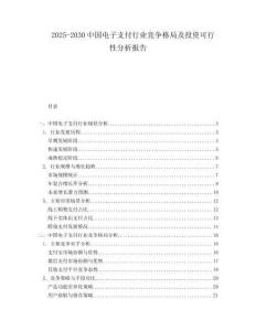 2025-2030中國電子支付行業競爭格局及投資可行性分析報告