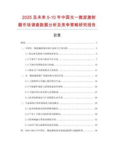 2025及未來(lái)5-10年中國(guó)光一微波激射器市場(chǎng)調(diào)查數(shù)據(jù)分析及競(jìng)爭(zhēng)策略研究報(bào)告