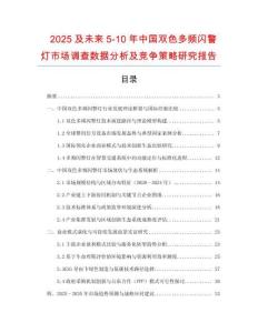 2025及未來5-10年中國雙色多頻閃警燈市場調(diào)查數(shù)據(jù)分析及競爭策略研究報告