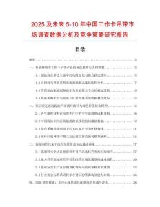 2025及未來5-10年中國工作卡吊帶市場調(diào)查數(shù)據(jù)分析及競爭策略研究報(bào)告