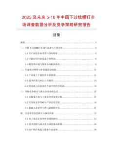 2025及未來5-10年中國下過線螺釘市場調查數據分析及競爭策略研究報告