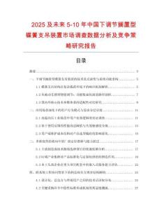 2025及未來(lái)5-10年中國(guó)下調(diào)節(jié)擱置型碟簧支吊裝置市場(chǎng)調(diào)查數(shù)據(jù)分析及競(jìng)爭(zhēng)策略研究報(bào)告