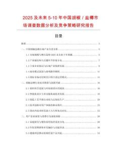 2025及未來5-10年中國(guó)胡椒／鹽樽市場(chǎng)調(diào)查數(shù)據(jù)分析及競(jìng)爭(zhēng)策略研究報(bào)告