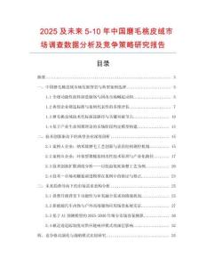 2025及未來5-10年中國磨毛桃皮絨市場調查數據分析及競爭策略研究報告