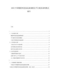 2025中國物聯網設備連接規模及平臺服務盈利模式報告