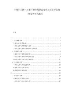 卡塔爾天然氣開采行業市場供需分析及投資評估規劃分析研究報告