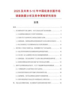 2025及未來5-10年中國紋身衣服市場調查數據分析及競爭策略研究報告