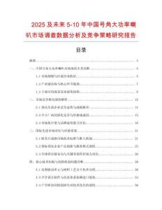 2025及未來5-10年中國號角大功率喇叭市場調查數據分析及競爭策略研究報告