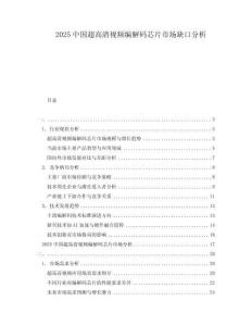 2025中國(guó)超高清視頻編解碼芯片市場(chǎng)缺口分析