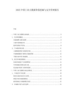 2025中國工業(yè)大數(shù)據(jù)價值挖掘與安全管理報告
