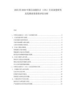 2025至2030中國自動液位計(jì)（ATG）行業(yè)深度研究及發(fā)展前景投資評估分析