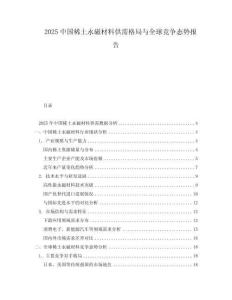 2025中國稀土永磁材料供需格局與全球競爭態勢報告