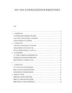 2025-2030支付機構反洗錢風控體系建設評估報告