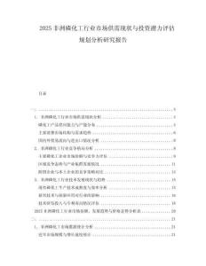 2025非洲磷化工行業(yè)市場供需現(xiàn)狀與投資潛力評估規(guī)劃分析研究報(bào)告