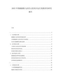 2025中国碳捕集与封存示范项目运行效果评估研究报告