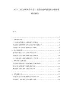 2025工業(yè)互聯(lián)網(wǎng)終端芯片安全防護與數(shù)據(jù)吞吐優(yōu)化研究報告