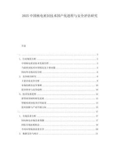 2025中國(guó)核電密封技術(shù)國(guó)產(chǎn)化進(jìn)程與安全評(píng)估研究