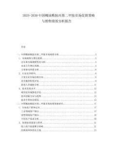 2025-2030中國椰油酰胺丙基二甲胺市場促銷策略與銷售績效分析報告