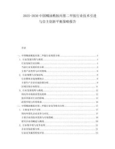 2025-2030中國椰油酰胺丙基二甲胺行業(yè)技術(shù)引進(jìn)與自主創(chuàng)新平衡策略報(bào)告