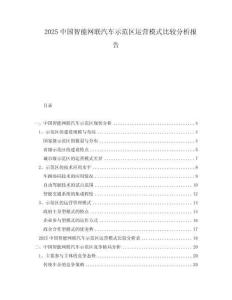 2025中國智能網聯汽車示范區運營模式比較分析報告