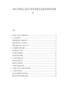 2025中國電子支付產業競爭格局及商業價值評估報告