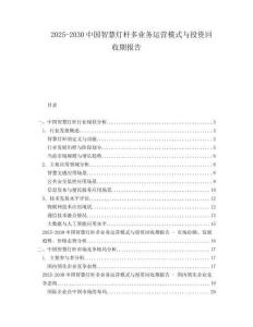 2025-2030中國智慧燈桿多業務運營模式與投資回收期報告