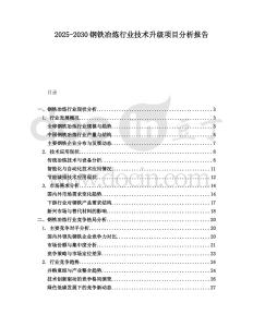 2025-2030鋼鐵冶煉行業技術升級項目分析報告