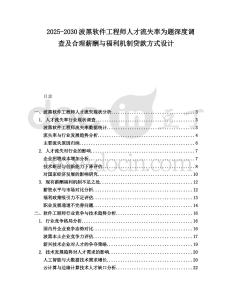 2025-2030波黑软件工程师人才流失率为题深度调查及合理薪酬与福利机制贷款方式设计