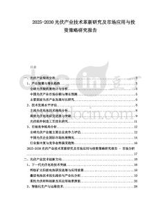 2025-2030光伏產(chǎn)業(yè)技術(shù)革新研究及市場(chǎng)應(yīng)用與投資策略研究報(bào)告