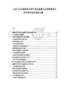2025-2030德國汽車尾氣凈化裝置行業(yè)供需現(xiàn)狀分析及資本運作規(guī)劃文獻(xiàn)