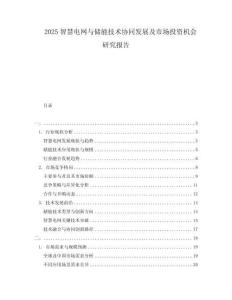 2025智慧電網與儲能技術協同發展及市場投資機會研究報告