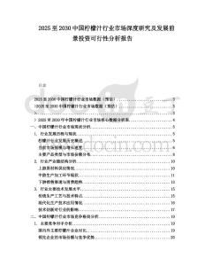 2025至2030中國檸檬汁行業市場深度研究及發展前景投資可行性分析報告