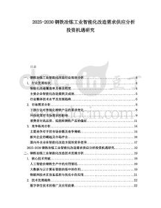 2025-2030鋼鐵冶煉工業智能化改造需求供應分析投資機遇研究