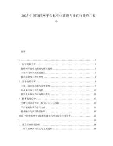 2025中國物聯網平臺標準化建設與垂直行業應用報告