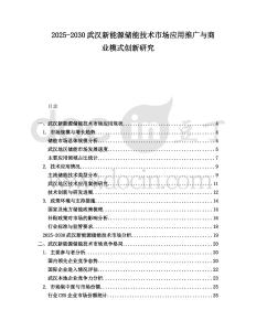 2025-2030武漢新能源儲能技術市場應用推廣與商業模式創新研究