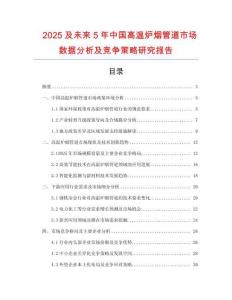 2025及未來5年中國高溫爐煙管道市場(chǎng)數(shù)據(jù)分析及競(jìng)爭(zhēng)策略研究報(bào)告