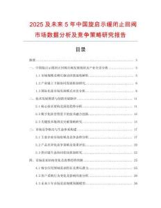2025及未來5年中國旋啟示緩閉止回閥市場數據分析及競爭策略研究報告