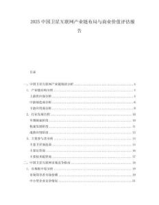 2025中國衛星互聯網產業鏈布局與商業價值評估報告