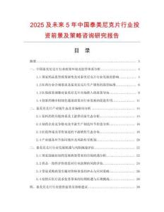 2025及未來5年中國泰美尼克片行業(yè)投資前景及策略咨詢研究報告