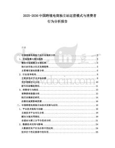 2025-2030中國跨境電商獨立站運營模式與消費者行為分析報告