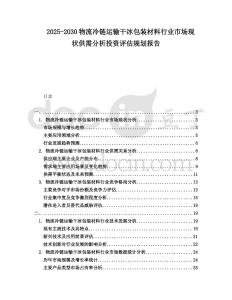 2025-2030物流冷鏈運輸干冰包裝材料行業市場現狀供需分析投資評估規劃報告