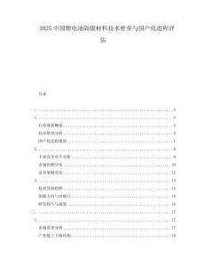 2025中國(guó)鋰電池隔膜材料技術(shù)壁壘與國(guó)產(chǎn)化進(jìn)程評(píng)估