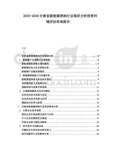 2025-2030甘肅省新能源消納行業現狀分析投資環境評估咨詢報告