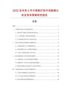 2025及未來5年中國(guó)射燈鉸市場(chǎng)數(shù)據(jù)分析及競(jìng)爭(zhēng)策略研究報(bào)告