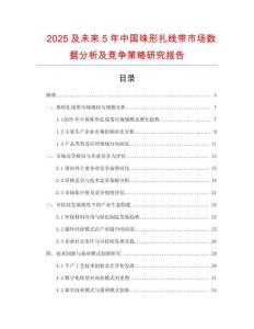 2025及未來5年中國珠形扎線帶市場數(shù)據(jù)分析及競爭策略研究報告